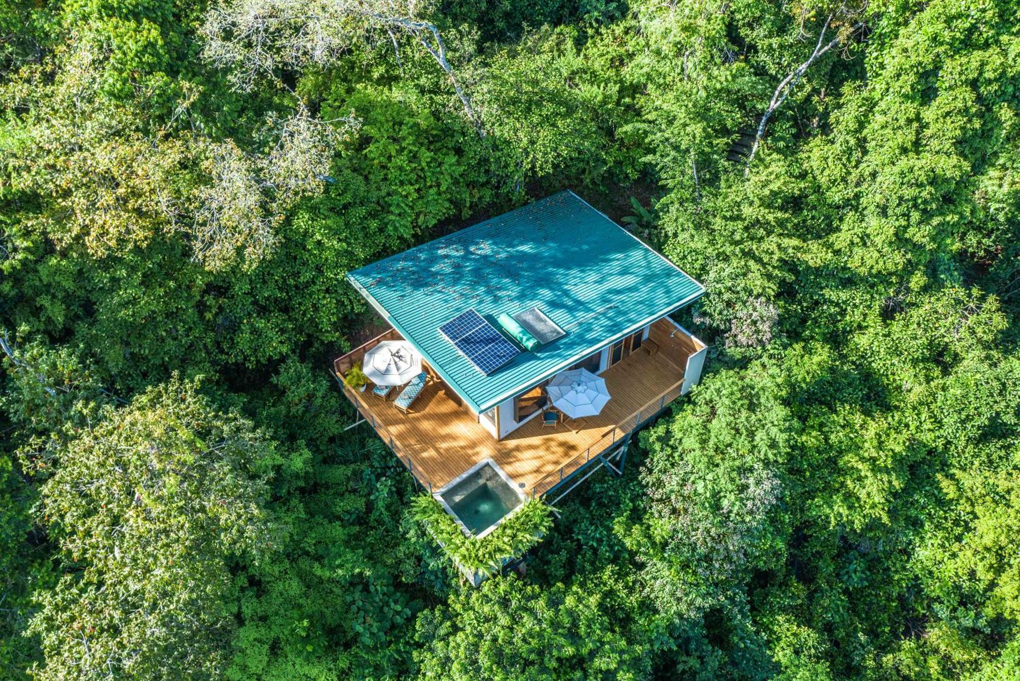 El Remanso Rainforest Lodge Puerto Jiménez Exterior foto