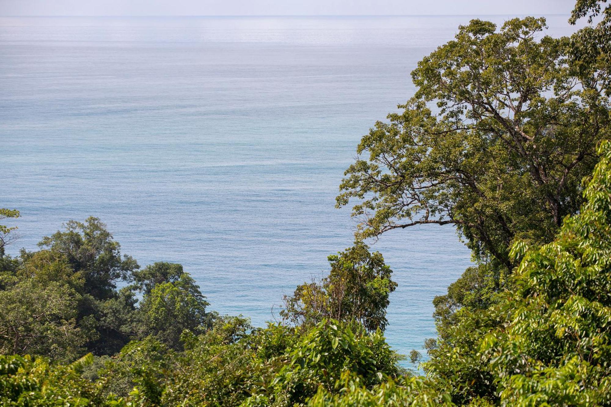 El Remanso Rainforest Lodge Puerto Jiménez Exterior foto